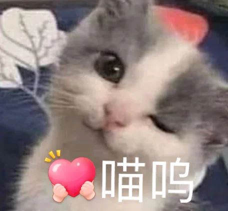 冯小刚监制新片《无名狂》曝预告;《星际穿越》内地重映票房破亿 视频资讯 Douban编辑部 无名狂 冯小刚 新片 星际穿越 内地 票房 影视 好剧 小豆 北京国际电影节 崇真艺客